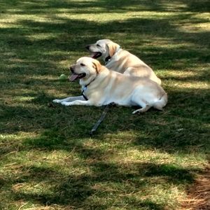 Meet your Posher, Kathi